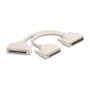 DeLOCK 67161 Adaptador Y-Kabel Splitter D-Sub 37 Pin beige