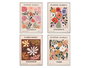 Giftdecor Cuadro Flower Market Surtido 4 30x40 cm Canvas y Madera Marco Blanco (Set de 8)