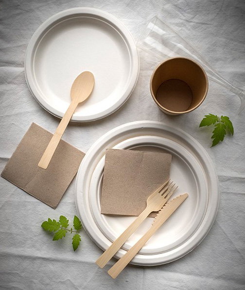 Algon Set de 24 Platos Biodegradables de 17.5 cm Quali