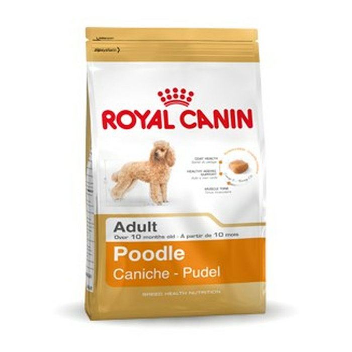 Royal Canin Pienso para Perros Adultos Raza Caniche Sabor Pollo 1,5 kg Royal Canin Pienso para Perros Adultos Raza Caniche Sabor Pollo 1,5 kg
