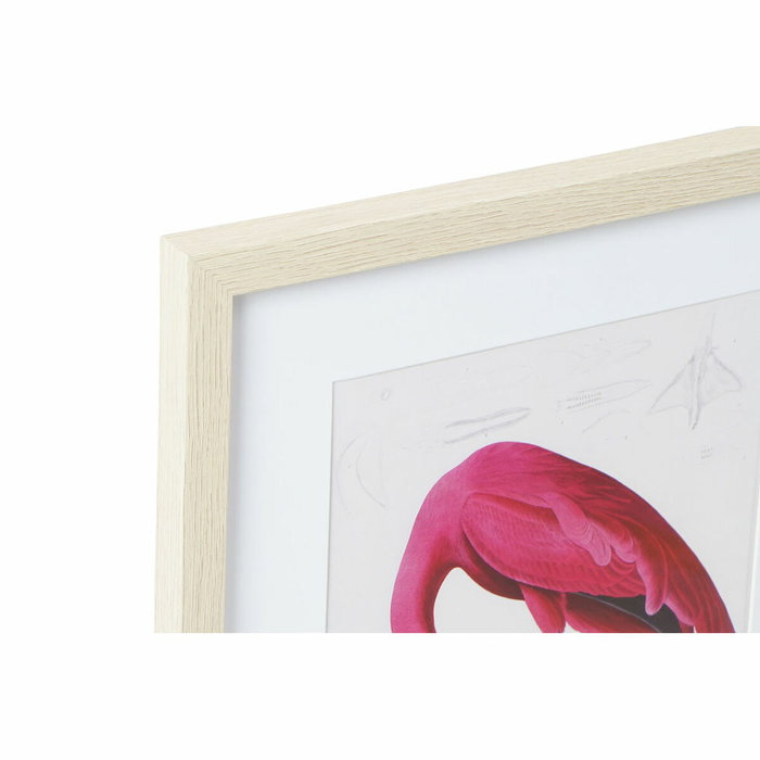 DKD Home Decor Set de 4 Cuadros Enmarcados Garza 35x2x45 cm