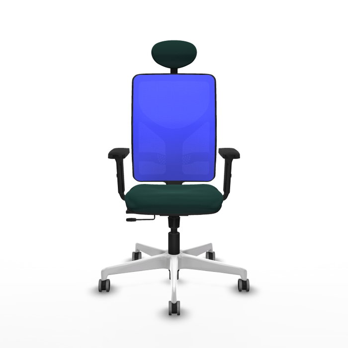 PIQUERAS Y CRESPO Silla de oficina Motilla con mecanismo Sincro/Traslack Verde botella y Azul PIQUERAS Y CRESPO Silla de oficina Motilla con mecanismo Sincro/Traslack Verde botella y Azul