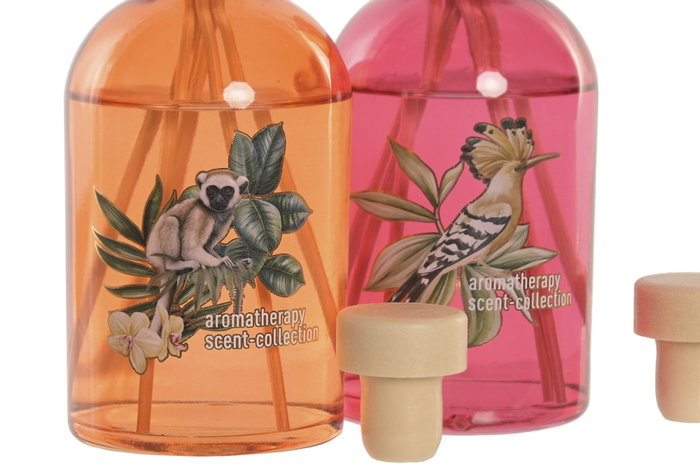 DKD Home Decor Ambientador Mikado Cristal Fruta de la Pasión y Piña 200 ml DKD Home Decor Ambientador Mikado Cristal Fruta de la Pasión y Piña 200 ml
