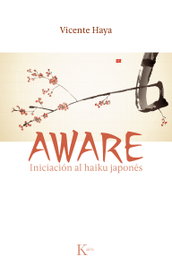 Aware, Vicente Haya - KAIROS