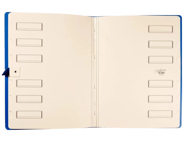 Saro Carpeta clasificador cartón compacto folio azul 12 departamentos