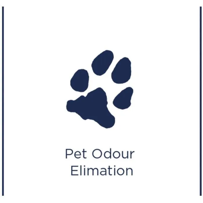 Bissell BIS0011120182460 Spot & Stain Pet Limpiador de Manchas y Suciedad para Mascotas 1L