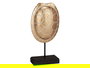 Giftdecor Caparazon Tortuga con Base Oro 17.5x10.5x36 cm (Set de 4)