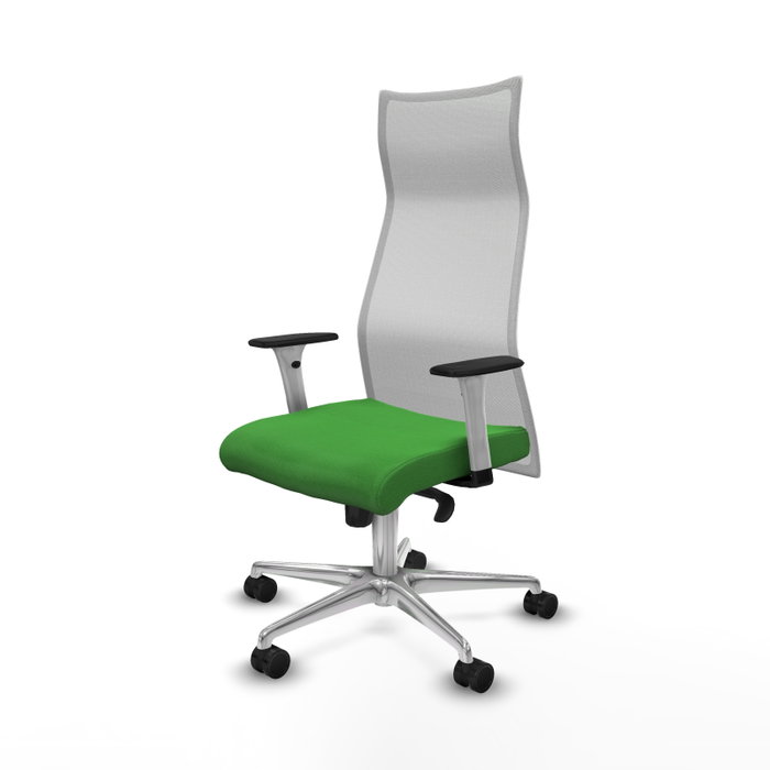 PIQUERAS Y CRESPO Sillón Albacete con Mecanismo Sincro, Tela Verde y Malla Blanca PIQUERAS Y CRESPO Sillón Albacete con Mecanismo Sincro, Tela Verde y Malla Blanca