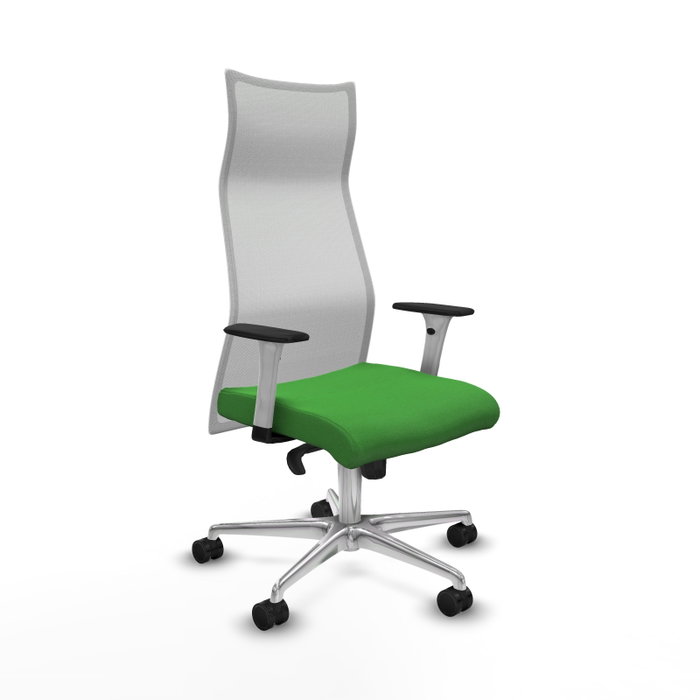 PIQUERAS Y CRESPO Sillón Albacete con Mecanismo Sincro, Tela Verde y Malla Blanca PIQUERAS Y CRESPO Sillón Albacete con Mecanismo Sincro, Tela Verde y Malla Blanca