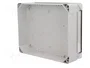 ELEKTRO-PLAST NASIELSK Carcasa Universal Industrial Gris