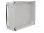 ELEKTRO-PLAST NASIELSK Carcasa Universal Industrial Gris