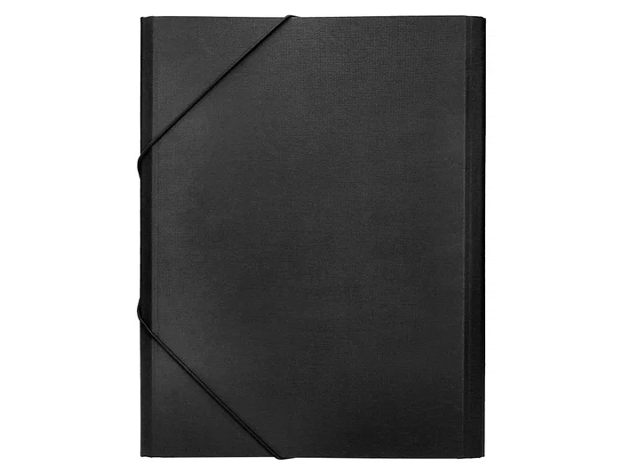 Liderpapel Carpeta Clasificadora Folio Prolongado 12 Departamentos Cartón Forrado Negro