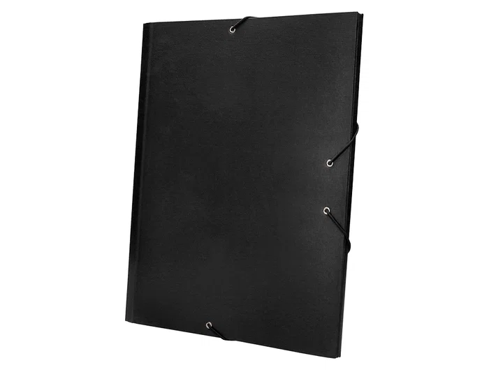 Liderpapel Carpeta Clasificadora Folio Prolongado 12 Departamentos Cartón Forrado Negro