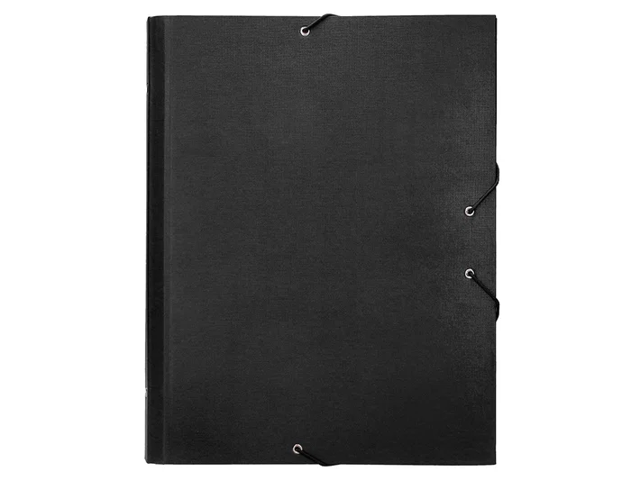 Liderpapel Carpeta Clasificadora Folio Prolongado 12 Departamentos Cartón Forrado Negro