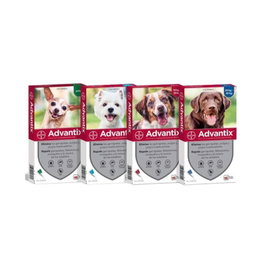 Elanco Advantix Spot On para Perros ≤4kg (4x0,4ml) inevitable