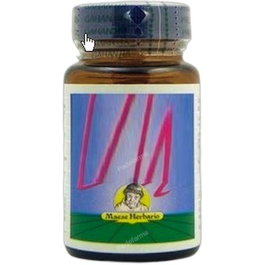 PLANTIS BISGLICINATO HIERRO + VIT C 60 cápsulas