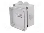 ELEKTRO-PLAST NASIELSK Caja de conexiones gris IP55