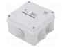 ELEKTRO-PLAST NASIELSK Caja de conexiones gris IP55