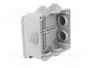 ELEKTRO-PLAST NASIELSK Caja de conexiones gris IP55