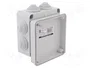 ELEKTRO-PLAST NASIELSK Caja de conexiones gris IP55