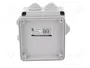 ELEKTRO-PLAST NASIELSK Caja de conexiones gris IP55