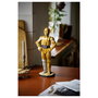 LEGO Star Wars C-3PO Kit de modelo para adultos