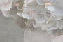 DKD Home Decor Cuadro Lienzo Florero Hortensia (Pack de 2)