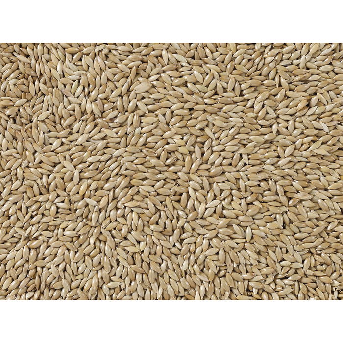 Comida para pájaros Deli Nature Premium 5 kg