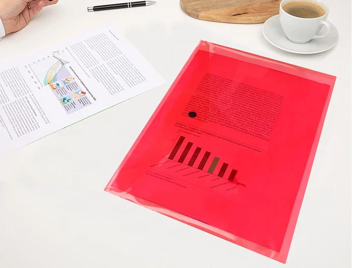 Liderpapel Carpeta Dossier con Broche, Transparente, DIN A4, Paquete de 12 Unidades, Colores Surtidos, Polipropileno 180 micras, Capacidad 50 Hojas