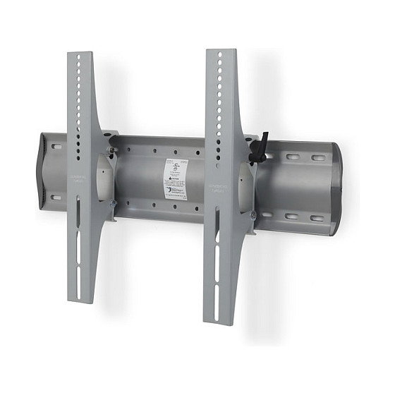 Ergotron 61-143-003 Wandhalterung neigbare para Pantalla de Pared, Soporte VESA 100-600x100-450 mm, Hasta 32 Pulgadas/81.3 cm y 79 kg, Inclinación -20 a 20°, Color Plata