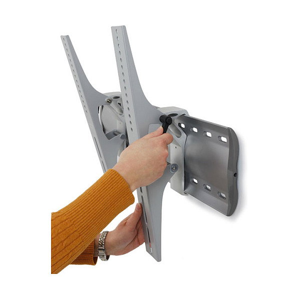 Ergotron 61-143-003 Wandhalterung neigbare para Pantalla de Pared, Soporte VESA 100-600x100-450 mm, Hasta 32 Pulgadas/81.3 cm y 79 kg, Inclinación -20 a 20°, Color Plata