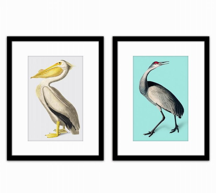 DKD Home Decor Cuadro PS 35X2X45 Aves Enmarcado Surtido de 4