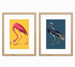 DKD Home Decor Cuadro PS 35X2X45 Aves Enmarcado Surtido de 4