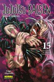 Jujutsu Kaisen 15, Gege Akutami - Norma Editorial