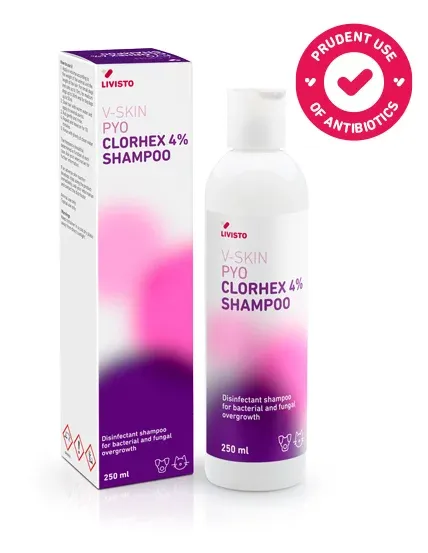 Livisto V-SKIN PYO CLORHEX 4% SHAMPOO 250 ML