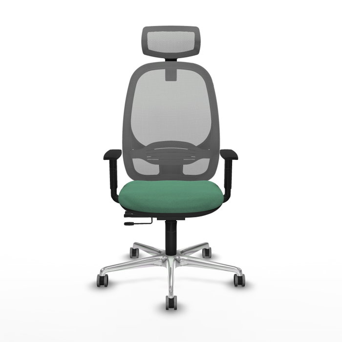 PIQUERAS Y CRESPO Silla de oficina Cilanco con mecanismo Sincro/Traslack Verde esmeralda y Gris PIQUERAS Y CRESPO Silla de oficina Cilanco con mecanismo Sincro/Traslack Verde esmeralda y Gris