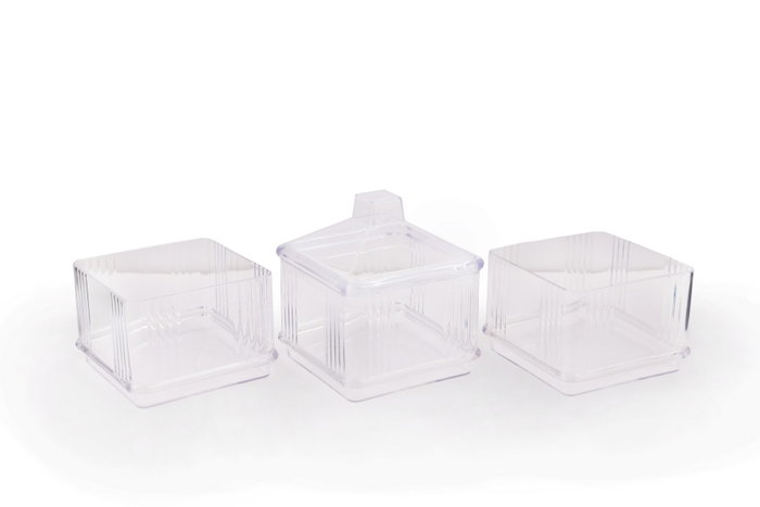Hermia Set de Presentación de Alimentos 6 Piezas Acrílico Transparente para Gastronomía Elegante