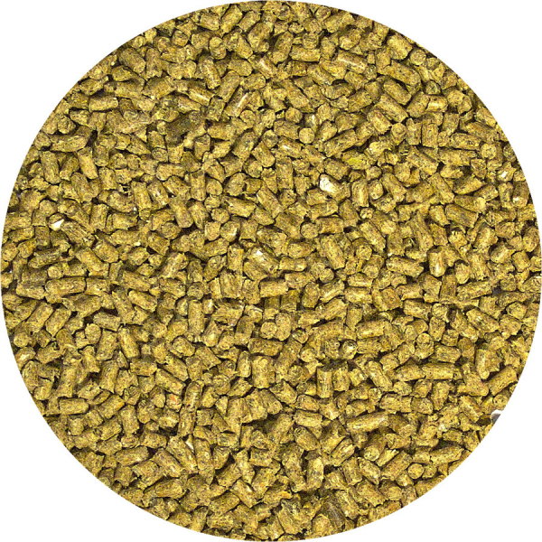 ZooMed Alimento para Dragón Barbudo Adulto Pellet Semi-húmedo ZooMed Alimento para Dragón Barbudo Adulto Pellet Semi-húmedo