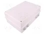 ELEKTRO-PLAST NASIELSK EP-LUX Caja de conexiones IP55 gris claro