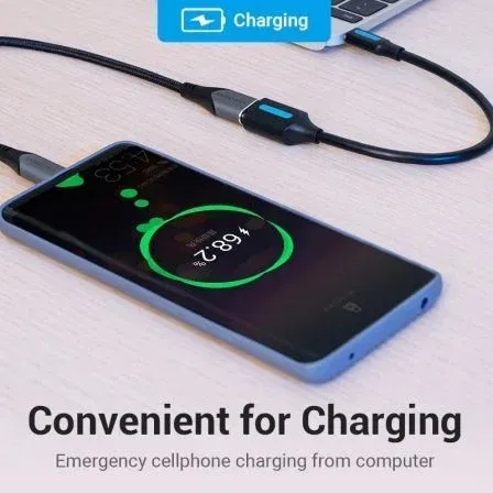 Vention Adaptador USB 3.1 Tipo-C Macho a USB 3.0 Hembra Negro 5Gbps CCVBB 0.15m