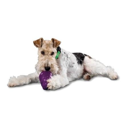Petsafe Busy Buddy Squirrel Dude SM