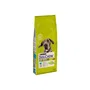 Purina Dog Chow Adult Razas Grandes Pavo 14 kg