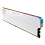 KLEVV Urban V RGB 32GB (16GBx2) 6000 CL28 Blanco