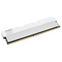 KLEVV Urban V RGB 32GB (16GBx2) 6000 CL28 Blanco