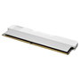 KLEVV Urban V RGB 32GB (16GBx2) 6000 CL28 Blanco