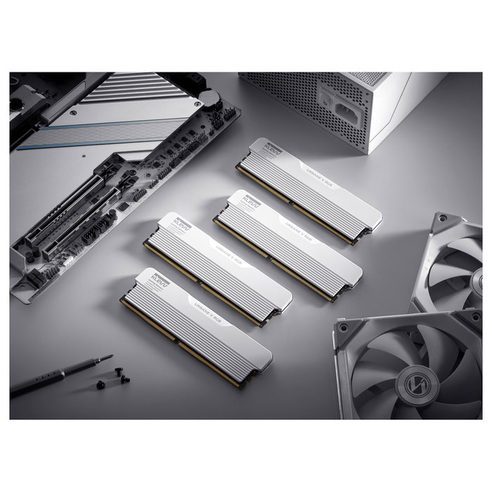 KLEVV Urban V RGB 32GB (16GBx2) 6000 CL28 Blanco KLEVV Urban V RGB 32GB (16GBx2) 6000 CL28 Blanco