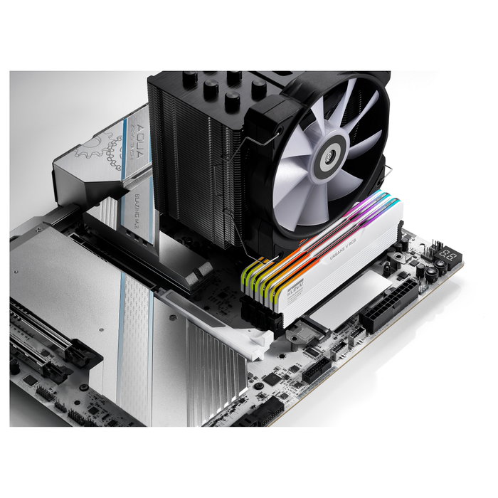 KLEVV Urban V RGB 32GB (16GBx2) 6000 CL28 Blanco KLEVV Urban V RGB 32GB (16GBx2) 6000 CL28 Blanco