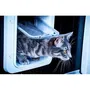 Sureflap Solapa de Gato Grande con Microchip Electrónico - Blanco