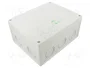 Günther Spelsberg GmbH+Co.KG Abox 250-L IP55/IP66