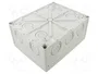 Günther Spelsberg GmbH+Co.KG Abox 250-L IP55/IP66